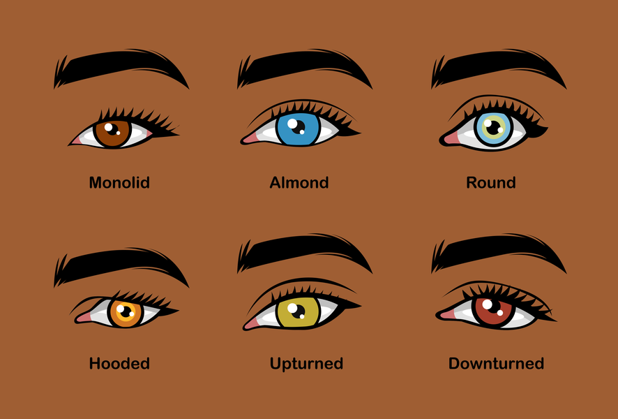 Easily Find The Perfect Strip Lashes Now By Learning The 6 Eye Shapes